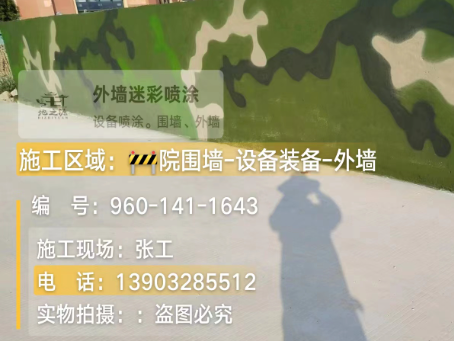 宜昌 迷彩漆喷涂价格（按平方米计费）