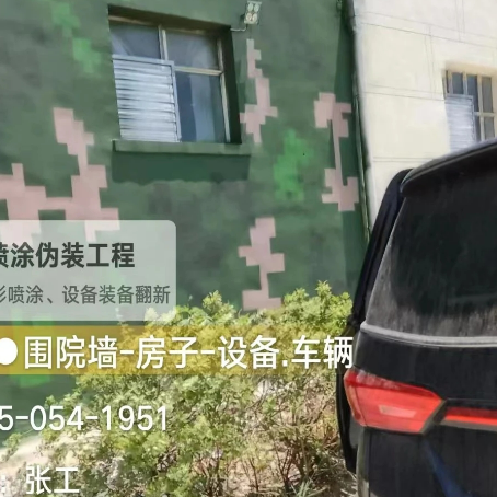 宜昌数码迷彩漆施工